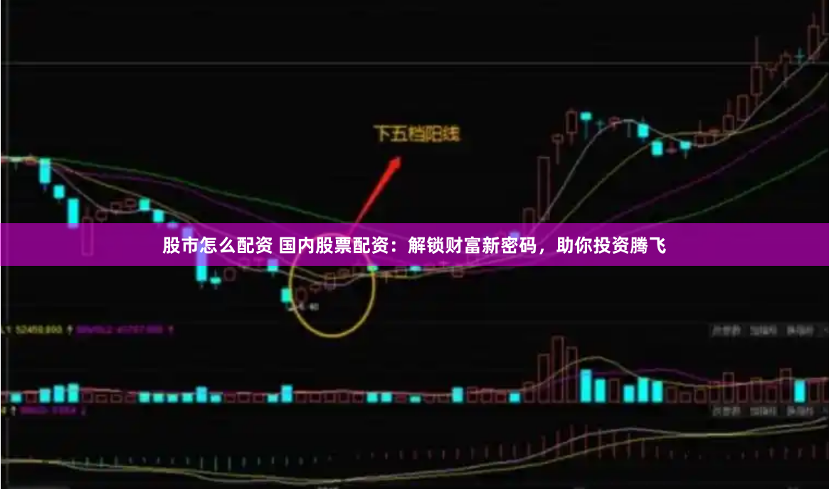 股市怎么配资 国内股票配资：解锁财富新密码，助你投资腾飞