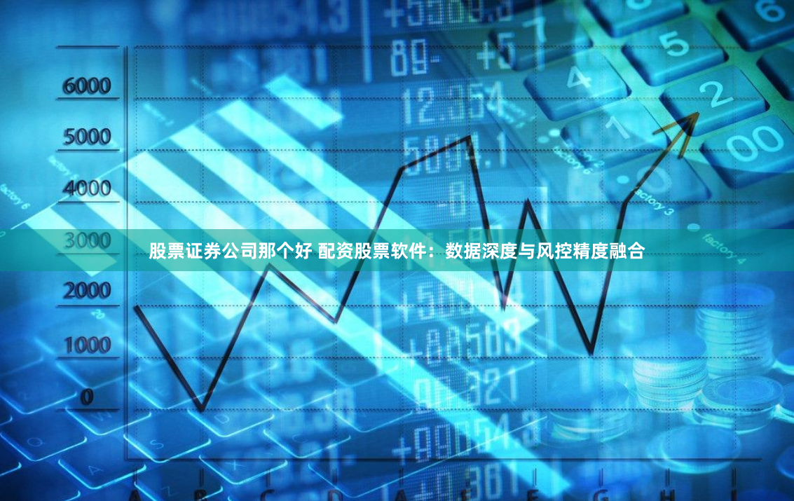 股票证券公司那个好 配资股票软件：数据深度与风控精度融合