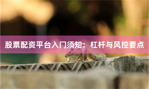 股票配资平台入门须知：杠杆与风控要点